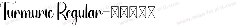 Turmuric Regular字体转换
